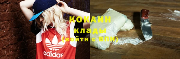 ПСИЛОЦИБИНОВЫЕ ГРИБЫ Сафоново
