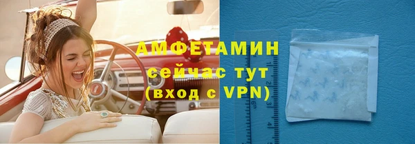 сатива Балахна