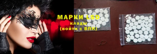 сатива Балахна
