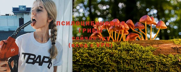 сатива Балахна