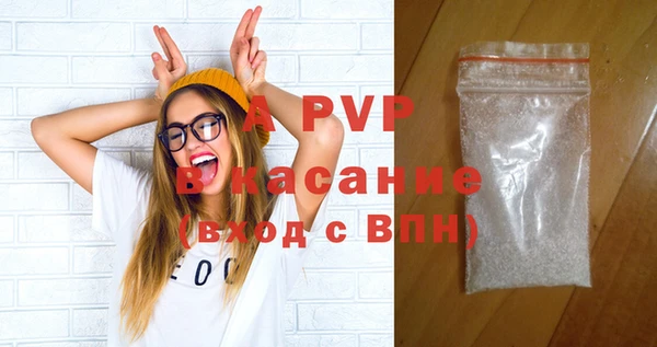стаф Белокуриха